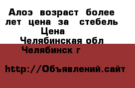  Алоэ. возраст  более 8 лет. цена  за 1 стебель. › Цена ­ 500 - Челябинская обл., Челябинск г.  »    